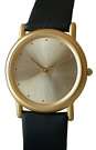 Model S55GOLDBG with Gold Case